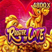 mega-casino-sign-up-code