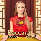 play-baccarat-game